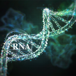 DNA 数据存储:用生命密码刻录人类文明