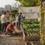 城市社区花园——把荒地变成邻里共享菜园
